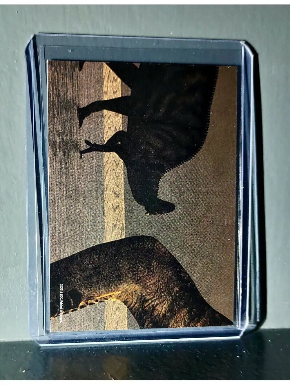 2015 Upper Deck Dinosaurs Kronosaurus #S-20 Trading Sticker Card